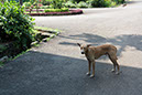 IMG_1055