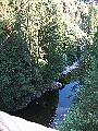 117_1740.JPG