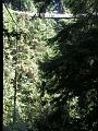 20040808_George_061.jpg
