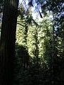 20040808_George_065.jpg