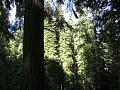 20040808_George_066.jpg